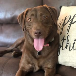 Meet your Posher, Jordan